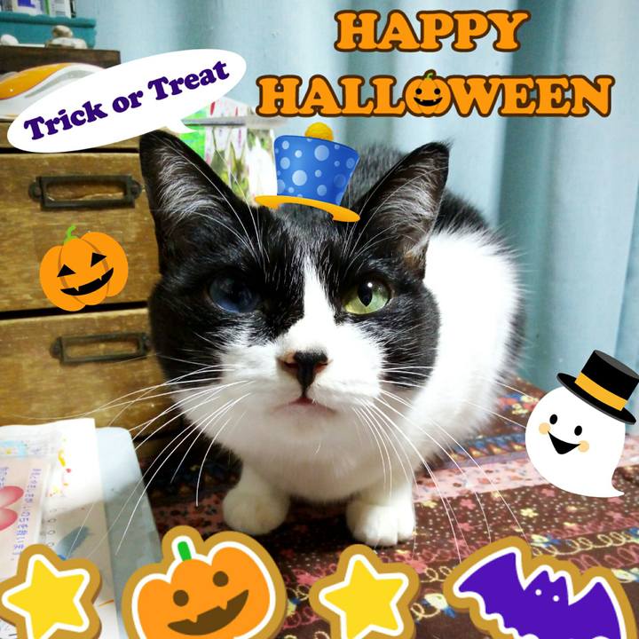 8cd00eba ba07 460a 9d06 d18a58a5f9e5