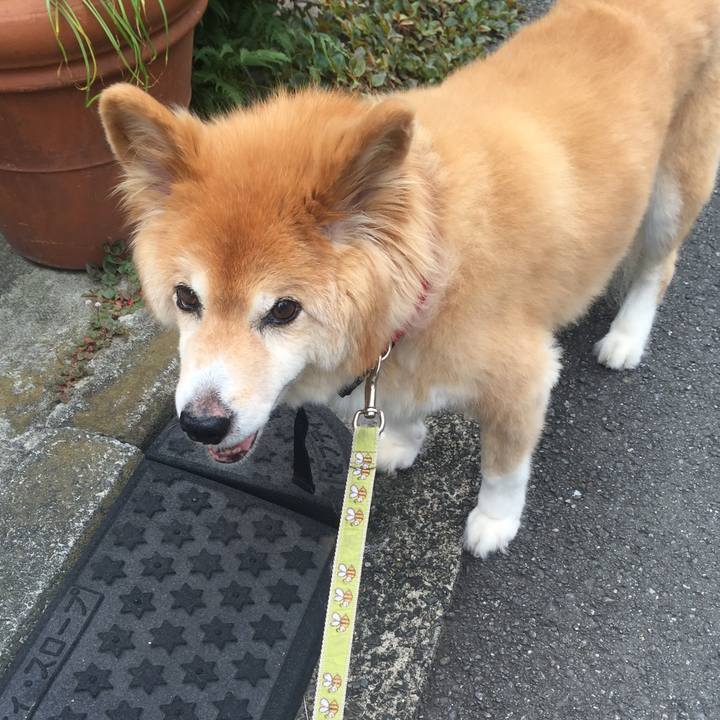 8cd13e7b a7f9 44bc a611 8e83660bcfe5