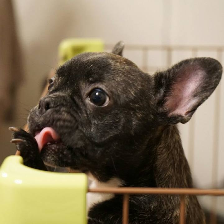 8cd1c57a dced 44d8 a8b9 b416151d4534