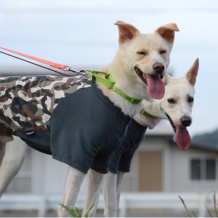 8cd20b4d 7f0e 45b4 b16b b711d68d0d37