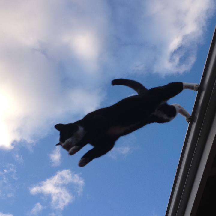 8cd2c910 4401 476d ac86 6ff995894eea