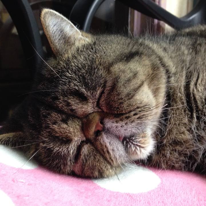 8cd2db10 878d 4bac 87fc 7e15a814129d