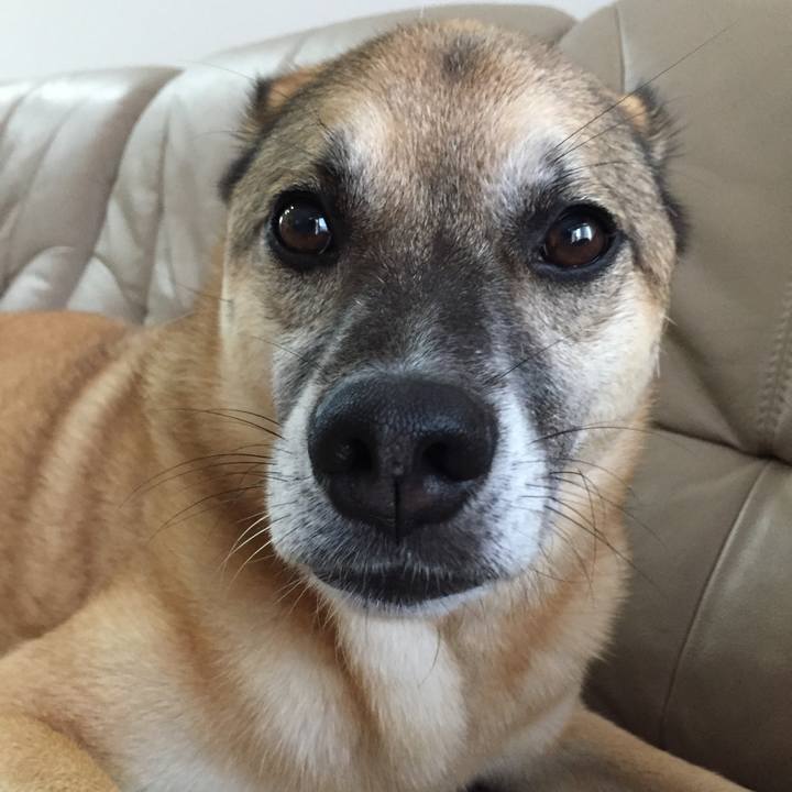 8cd2fc3b 26da 4744 a473 030fb326c46f