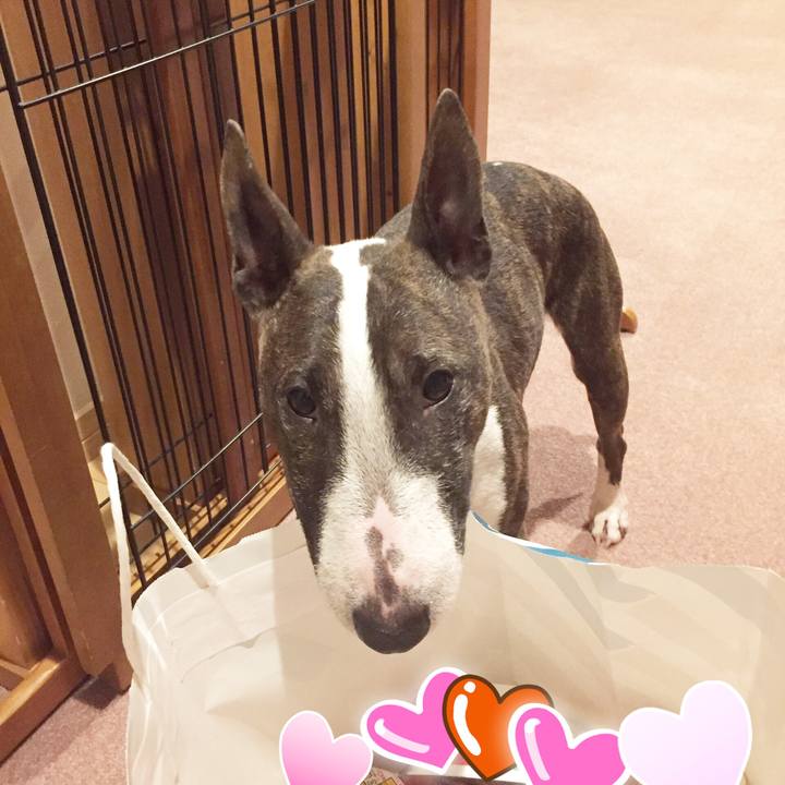 8cd48a61 3885 42e5 8923 0ec35c001834