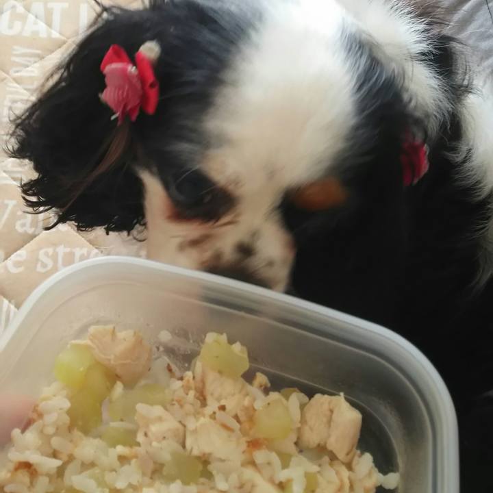 8cd556a7 bdb1 4fb5 8f2e adbdbabb3d1f