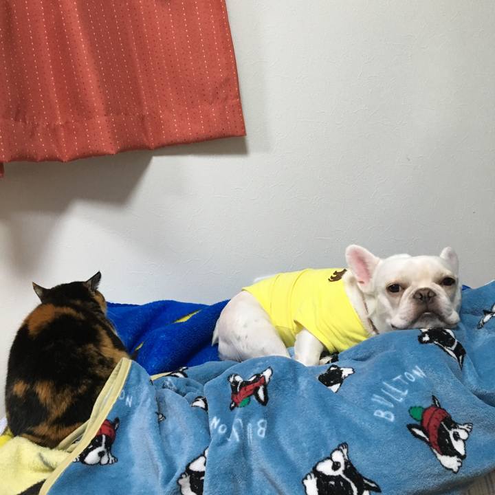 8cd58a93 1a7a 4bd4 9e17 a3f2bda318dc