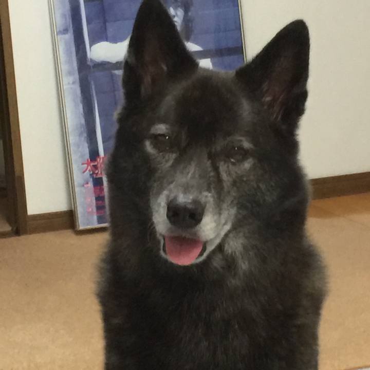 8cd58cc1 de8d 4402 8816 1f528ae23e25