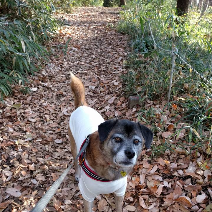 8cd5ad26 aa24 462f 979d 3df3c78bf057