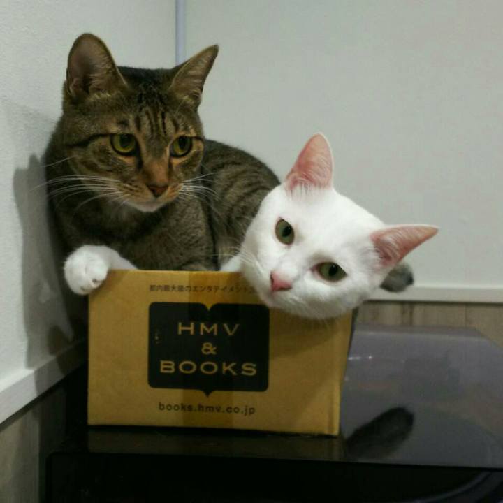 8cd5dbbe 683e 493a 9d14 e914fb9ee7f2