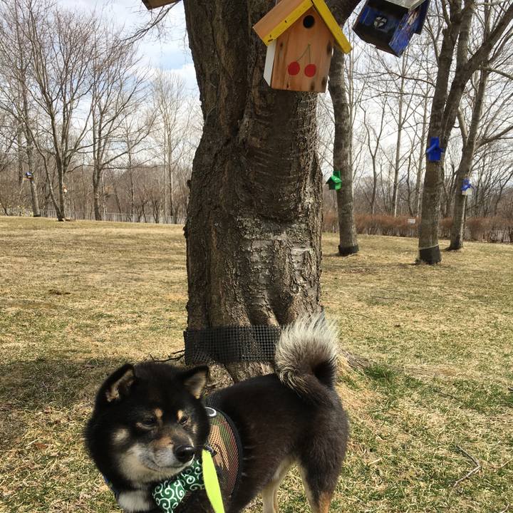 8cd67dd0 3627 4fa5 a391 b1a0b7cba501