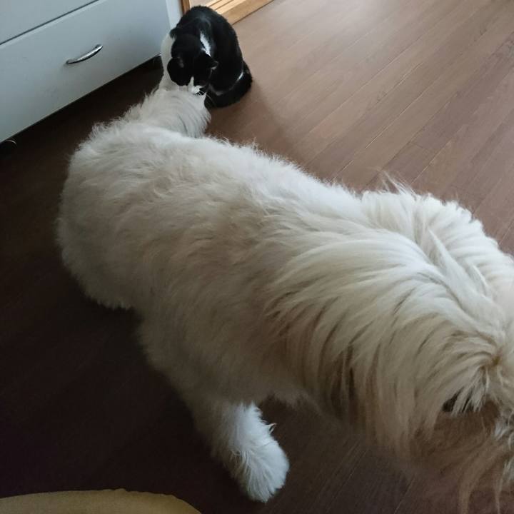 8cd6eef2 9101 4ac4 afc6 0c09ae97a75a