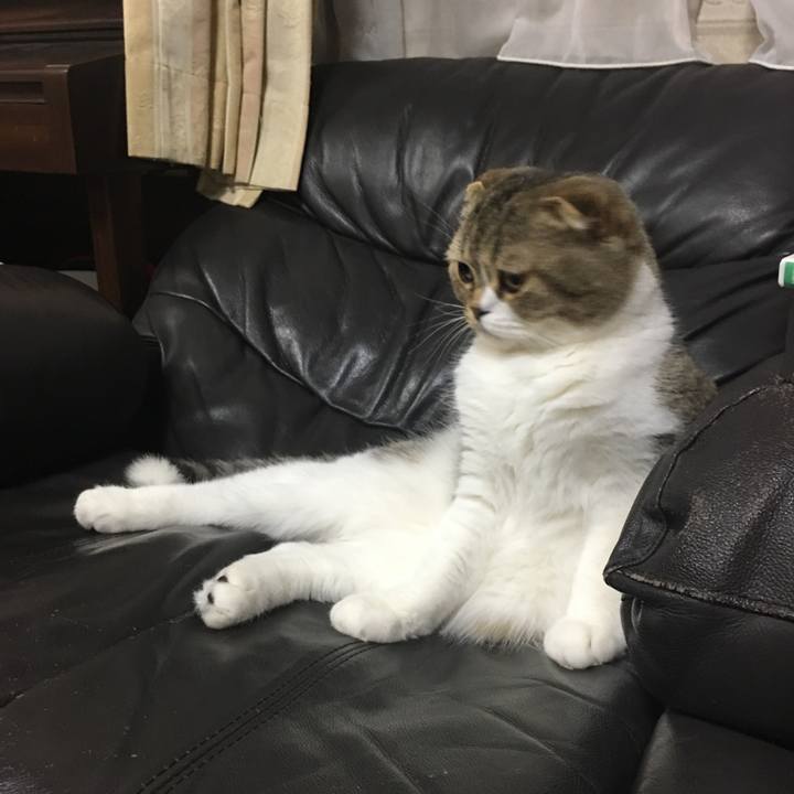 8cd7add8 2ee5 4418 bea3 1527b5a2af28