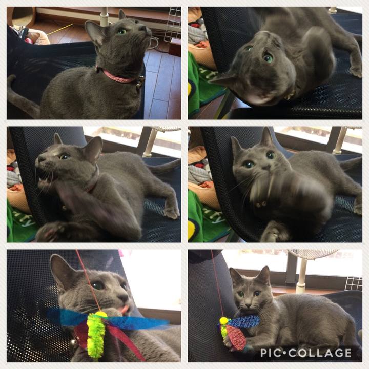 8cd81a96 a7d6 4e10 b1af de9784a38ebc