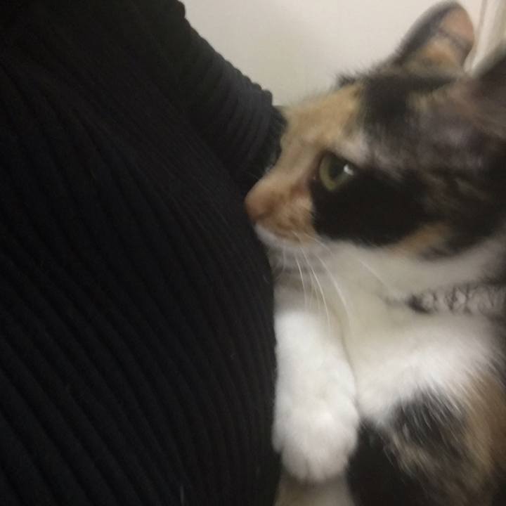 8cd90f2a 181f 49df ab06 640fcd60b11f