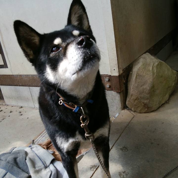 8cd9359e 5db2 4be7 9e74 f593044f387f