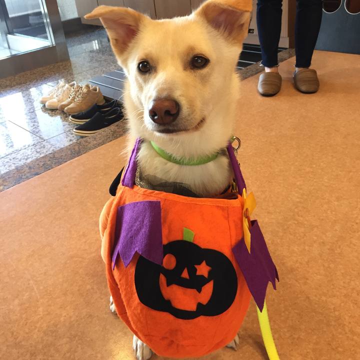 8cd9df4c f447 4ed7 a757 d6f36de9572c