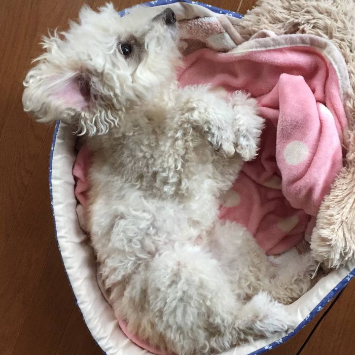 8cd9fb6c 3698 40e8 8b83 73e9f63f64b5