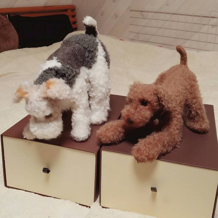 8cda656f bee3 4053 9af5 f7d668204a99