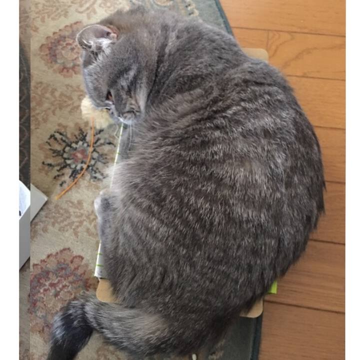 8cdaeda5 d542 4a05 8de3 4ac851efff2f