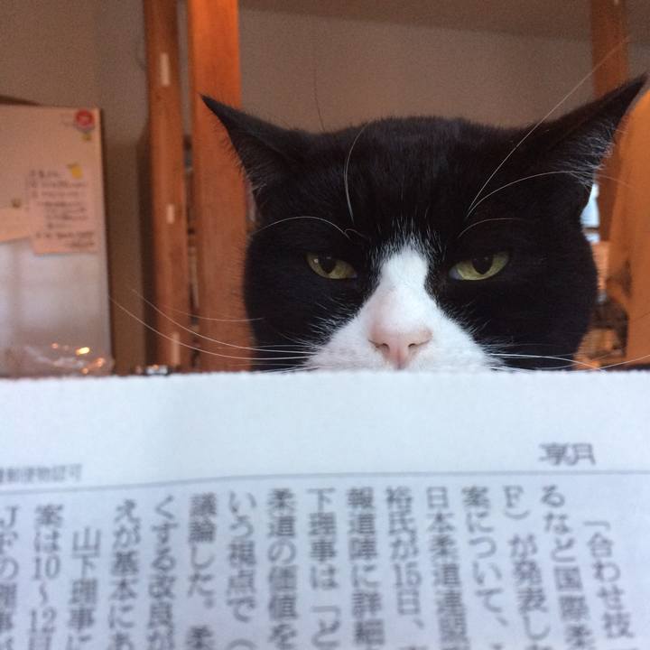 8cdb7d77 04ab 4a84 96ac 35621a25f186