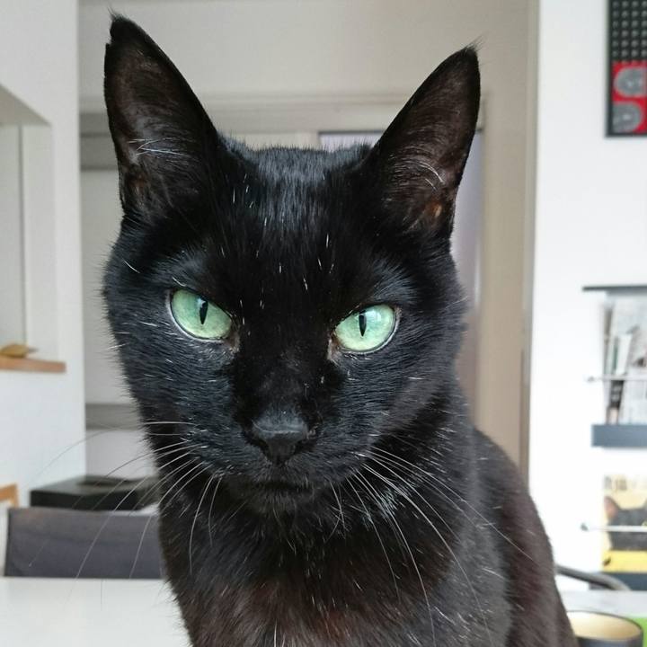 8cdbb982 4886 47b5 94c9 97c8da96f7b3