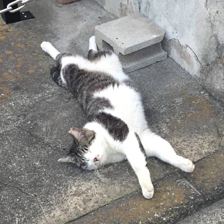 8cdbc67e daac 46cd b686 99dfd03705b1