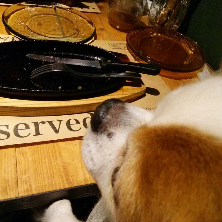 8cdc0522 bc47 4aed 85d8 0ec4c62b1c1a