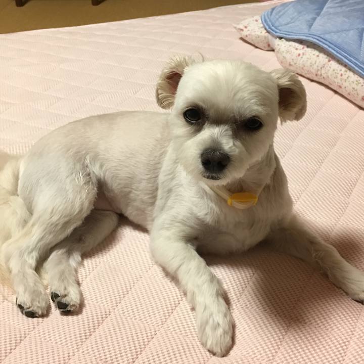 8cdcfc5d 1027 4448 aa91 c85067648d96