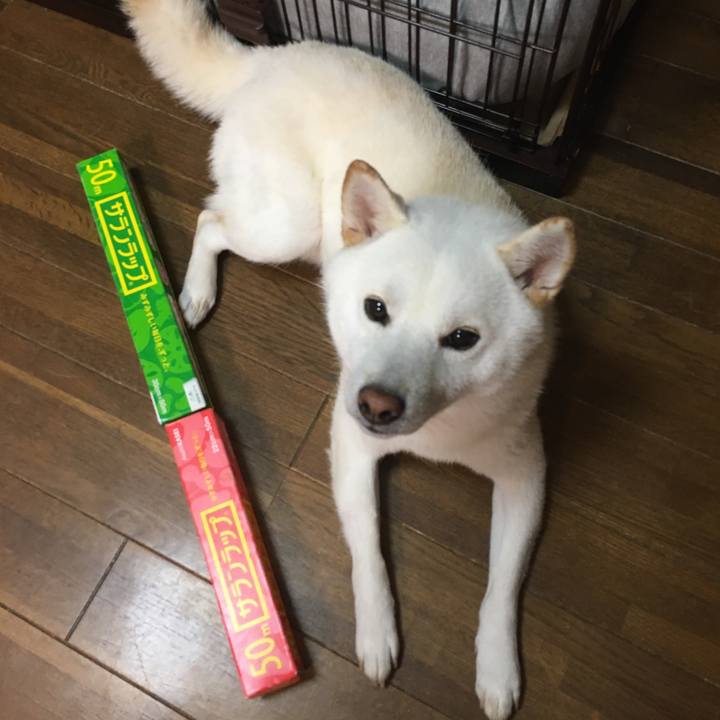 8cdd8850 e9e6 48eb 88b6 112ddcb4a57c