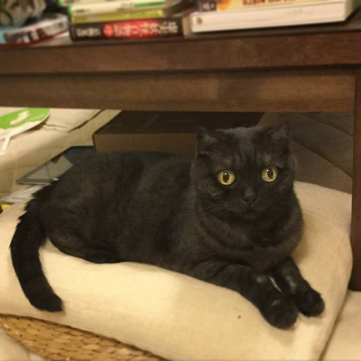 8cdd88be 077a 479a 9306 ad1e1e3d85ec