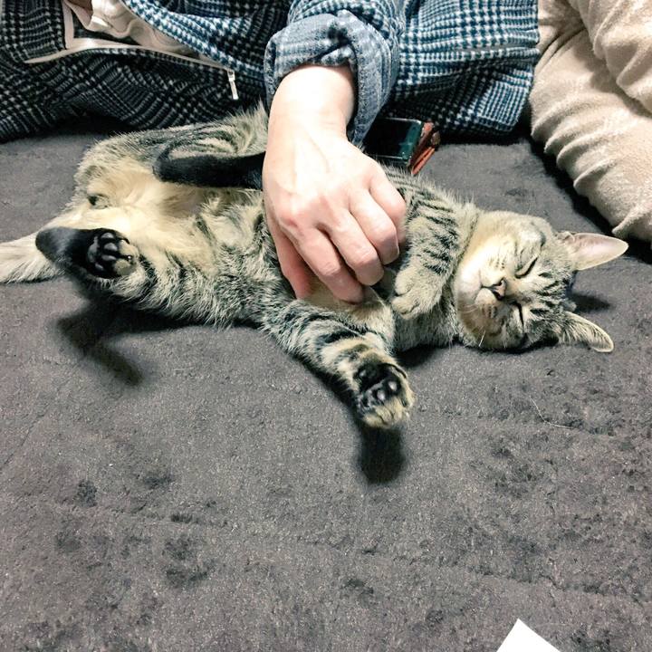 8cde2b7f 5ae3 409e b4ff 153fcdd74da9