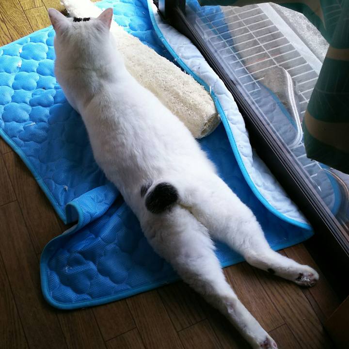 8cde71af 00de 4b2b 9445 0fdb189fdb55