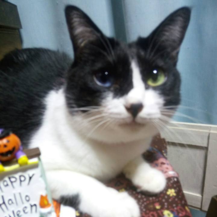 8ce08357 454d 4a53 a850 02b256048b67