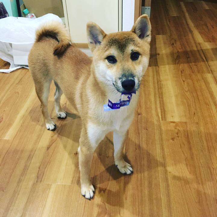 8ce260c3 68e0 4c0f b16b 6874c82865af