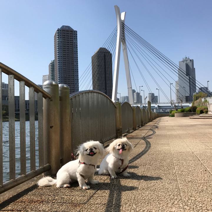 8ce2a280 6624 44e3 83b7 ce2dd7a045e2