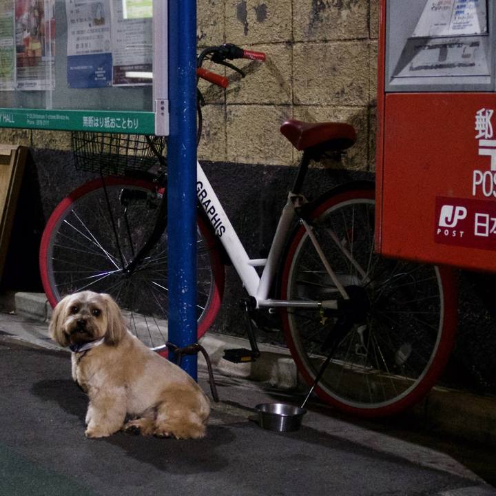 8ce31081 8b81 49cf 8435 6d44c8b11d30