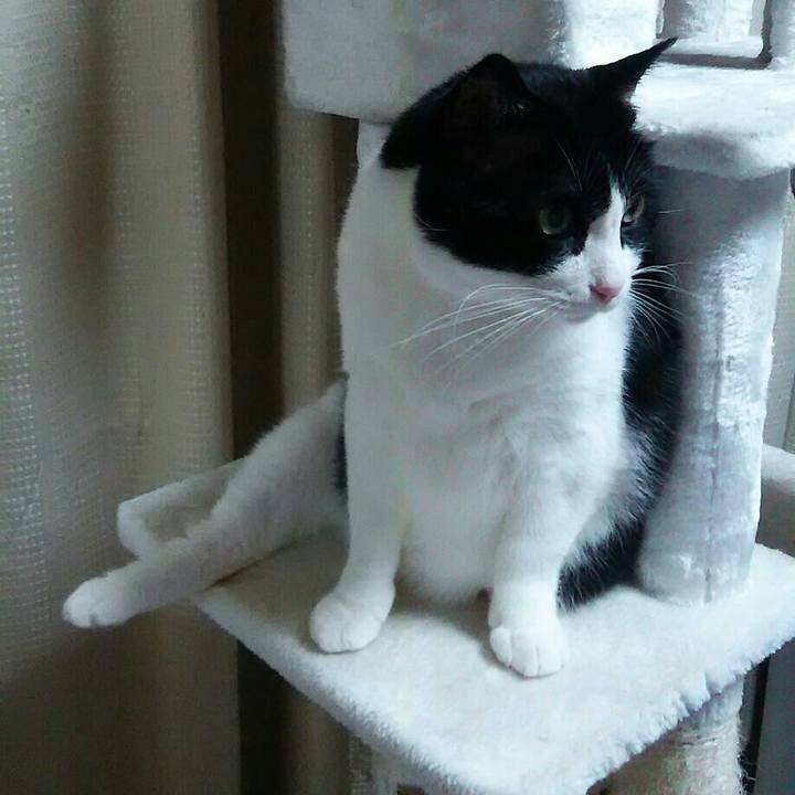 8ce33c9b 9e85 4458 aeec f532ca38260e