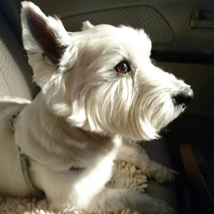 8ce37297 21a7 4e1c bbd9 56a5993c32e6