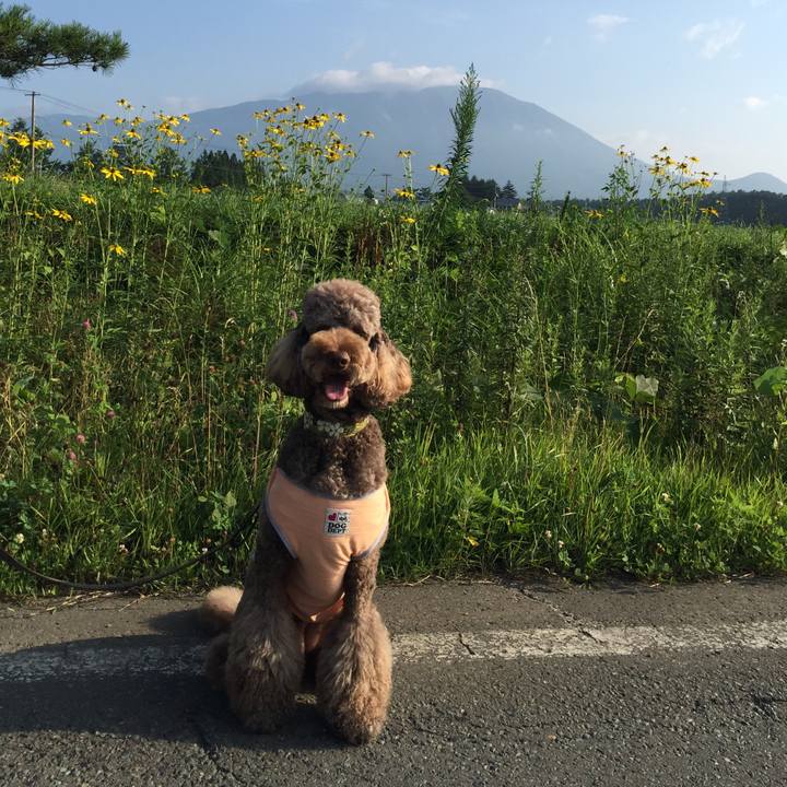 8ce41cfd fef7 4124 8711 d9aaa9fba53b