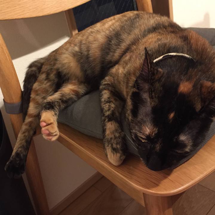 8ce421de c401 4645 8047 f03e066003ad