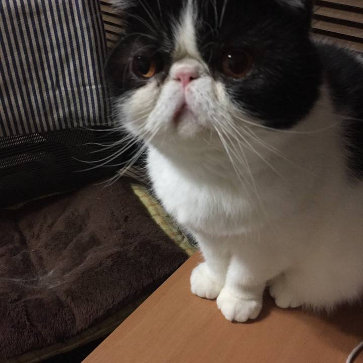 8ce445f4 3e5b 4cd2 808c 63ee0d1ba66d