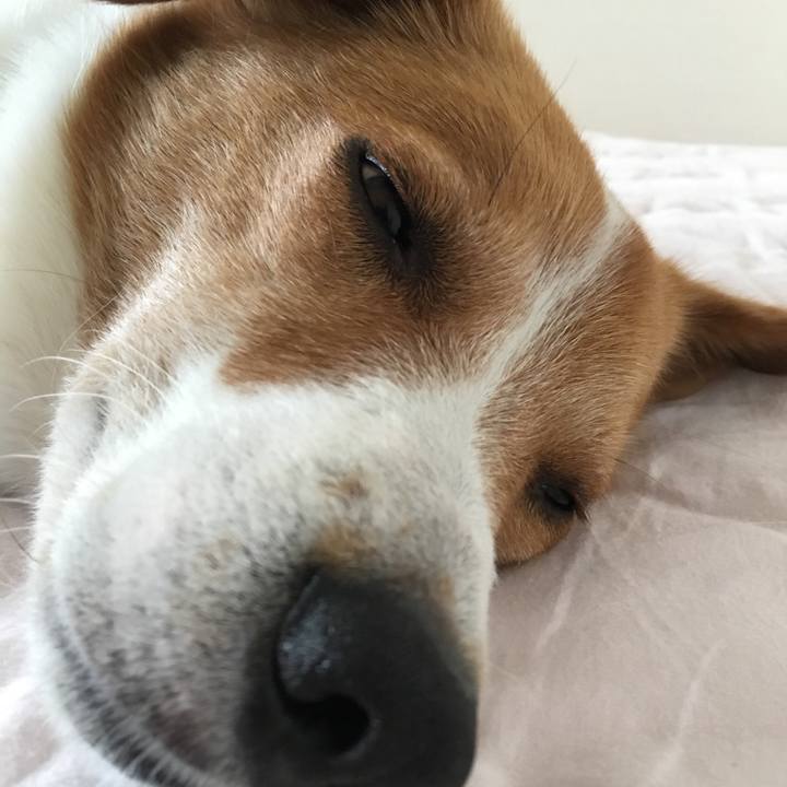 8ce4f657 746a 4b64 a111 c498fdfb2ba1