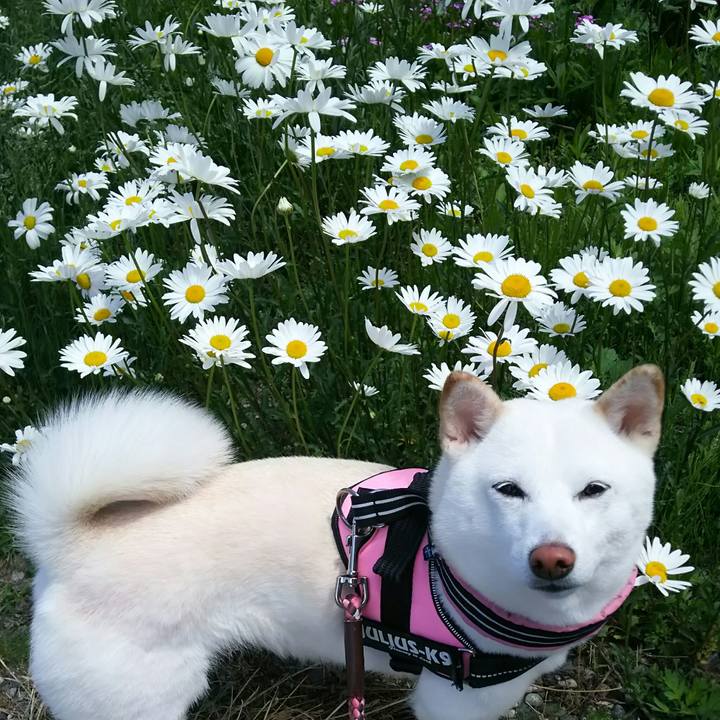 8ce50eb7 ec98 4d4c acd1 cc7e6a25d8f9