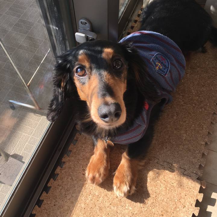 8ce50edc daa0 4c10 a136 8990fa254dd0