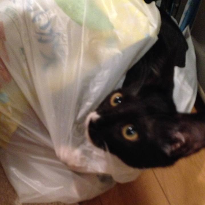 8ce57d2c 7068 4e5f 8446 591427de28e8