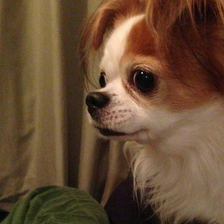 8ce59ac7 c45f 449b 8d5b 40c432269aac