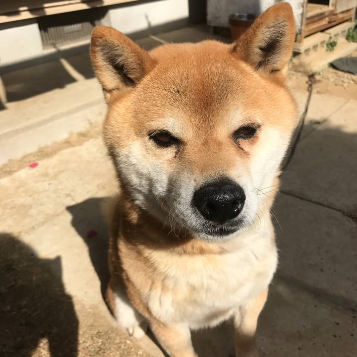 8ce5cd84 6529 42c9 837b e3354934950b