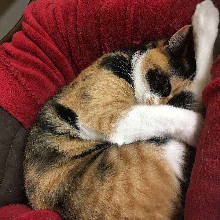 8ce617bd be23 4829 baec 2d5dc83b72fc