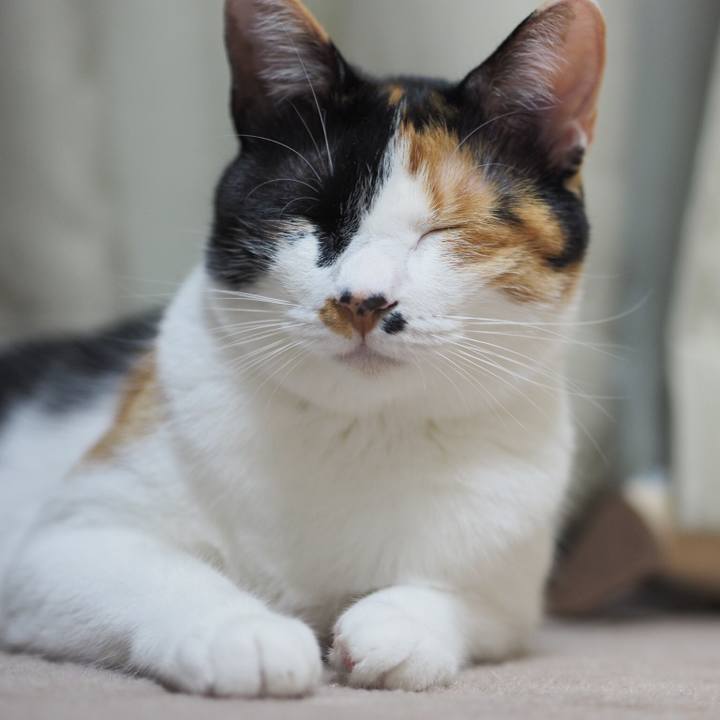 8ce6de6c ec9a 435e 85af 6aab1c1b9f16