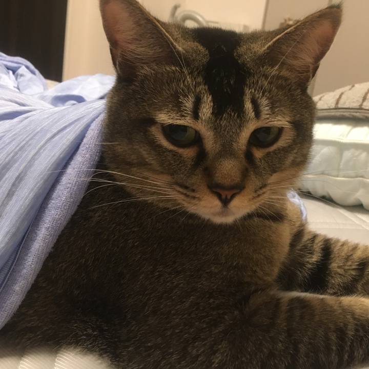 8ce714a6 c749 4ad7 b3a8 695ad023df00